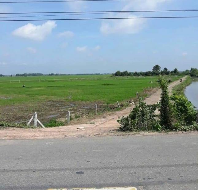 Bán lô đất thổ cư MT TL7, Thái Mỹ, Củ Chi: 10.183m2, giá: 25,5 tỷ