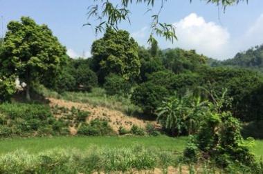 Bán 3000 và 1700 m2 đất thổ cư tại xóm Mòng, thị trấn Lương Sơn, Hòa Bình, giá 20 nghìn/m2