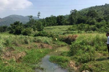 Bán 3000 và 1700 m2 đất thổ cư tại xóm Mòng, thị trấn Lương Sơn, Hòa Bình, giá 20 nghìn/m2