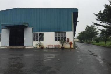 Cho thuê nhà xưởng 3300 m2, 5000 m2, 2800 m2, trong KCN Tam Phước, Biên Hòa, Đồng Nai