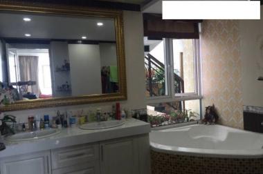 Cần bán căn hộ Penthouse Giai Việt - Tạ Quang Bửu - Quận 8
