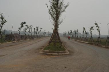 Đơn vị phân phối liền kề biệt thự Thanh Hà Cienco 5 Mường Thanh, giá rẻ nhất thị trường