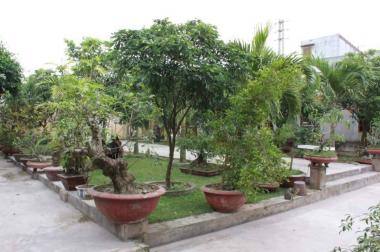 Bán đất thuộc Thôn Thắng Cựu, Phú Xuân, Thái Bình