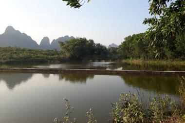 Cần bán 5ha đất rừng rẻ đẹp làm trang trại trồng cây ăn quả tại Lương Sơn, Hòa Bình