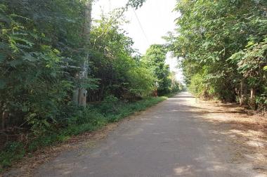 Bán 4.500m2 đất vườn mặt tiền xã Long Phước, Tp Bà Rịa, giá 1,25 tỷ