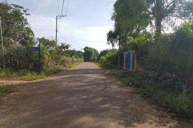 Bán 4.500m2 đất vườn mặt tiền xã Long Phước, Tp Bà Rịa, giá 1,25 tỷ