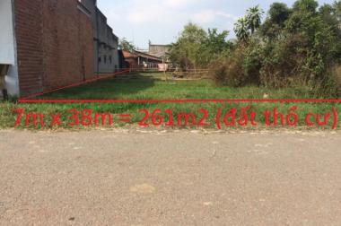261m2 đất thổ cư mặt tiền đường số 684 xã Thái Mỹ, Củ Chi giá 290 triệu