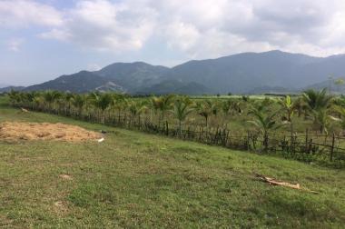 Cần bán 2.4 ha đất làm vườn và ao nuôi cá, giá 1.8 tỷ, Diên Tân, Diên Khánh, Khánh Hòa