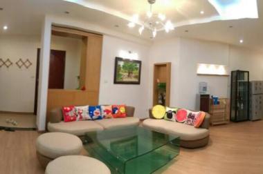 Cho thuê căn hộ cao cấp chung cư N04 Trần Duy Hưng, 156m2, giá rẻ. LH 0917 973 192