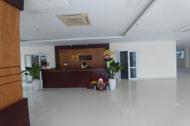 Văn phòng đẹp đường D1 quận Bình Thạnh, DT 200m2, giá 53 triệu/tháng
