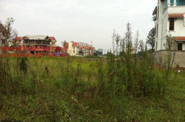 Bán đất biệt thự khu đô thị Nam Võ Cường tại thành phố Bắc Ninh