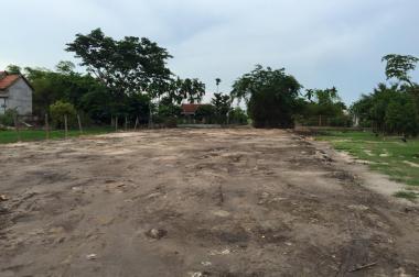 Bán đất tại xã Nhị Thành, Thủ Thừa, Long An diện tích 3000m2