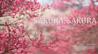 Đất ven đường Trường Sa dự án Sakura Central Park - Chính thức nhận giữ chỗ để nhận vị trí đẹp nhất
