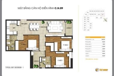 Chính chủ cần bán căn góc CN09 = 106.98m2, 3PN, chung cư T&T Riverview - 440 Vĩnh Hưng, 21 tr/m2