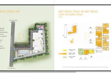 Cần chuyển nhượng lại căn hộ Masteri M-One Gia Định, Gò Vấp, 3PN