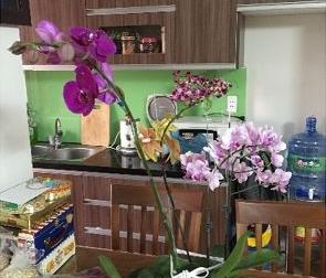 Chính chủ cho thuê căn hộ Lotus Garden 86m2, 2PN 2WC, đầy đủ nội thất 11.5tr