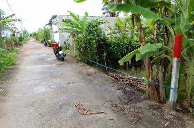 Chính chủ bán nền 8.5 m x 19 m = 169 m2 đất vườn, 480 triệu, khu dân cư cầu sắt Nguyễn Văn Trường