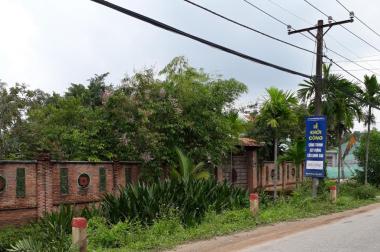 Chuyên đất lớn phường Long Phước, Quận 9, TP.Hồ Chí Minh, 500m2 đến 7.000m2, giá 2tr/m2