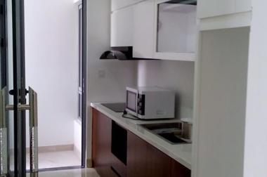 Cho thuê căn hộ chung cư 17T9 Trung Hòa Nhân Chính, dt 158m2, 4 PN, 3 vệ sinh, nội thât đầy đủ.