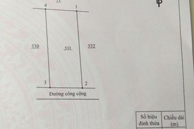Cần bán gấp 2 nền đất tại khu chợ chiều Câu Kê, cách phà Cát Lái 1,5km, giá 1,16 tỷ/nền