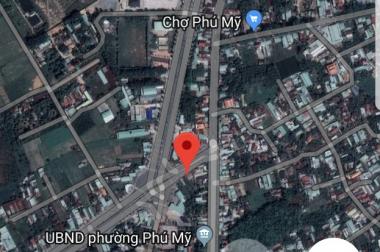 Bán đất tại Đường Huỳnh Văn Lũy, Thủ Dầu Một,  Bình Dương diện tích 270m2  giá 21 Triệu/m²