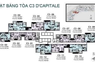 Chính chủ cần bán căn 2PN tại tòa C3 dự án Vinhomes D’Capitale – Trần Duy Dưng. LH 094.648.6383