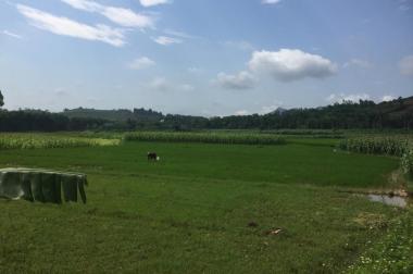 Lô đẹp view cánh đồng, giá chỉ 150 tr/sào tại Yên Bài, Ba Vì, LH 0965939976