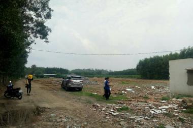 Bán đất nền dự án tại Đường ĐT 768, Vĩnh Cửu, Đồng Nai diện tích 100m2 giá 300 Triệu