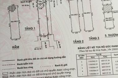 Thiếu nợ ngân hàng nên gia chủ cần bán gấp căn nhà cực đẹp mt Nguyễn Phi Khanh, p. tân định, q1.