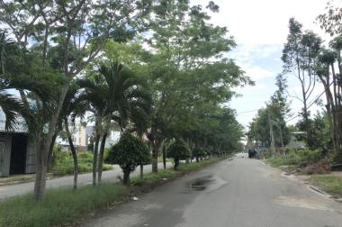 Cần tiền bán gấp nền đường Nguyễn Thị Sáu KDC 586 giá chỉ 12,8 triệu/m2