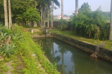 Bán nhà vườn 9.397m2 tuyệt đẹp tại Lương Sơn, Hòa Bình