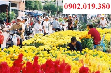 Sang lại ki ốt đang kinh doanh tạp hóa tổng hợp tại chợ du lịch Điện Bàn, Quảng Nam