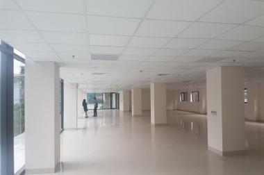 Cho thuê văn phòng phố Lê Thanh Nghị, Hai Bà Trưng, Hà Nội, diện tích 100m2, 200m2, 500m2, 1000m2