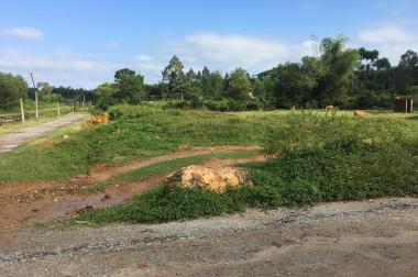 Cần tiền bán lô đất 2 mặt tiền (60mx70m), ở xã Bình Hiệp, Bình Sơn, Quảng Ngãi