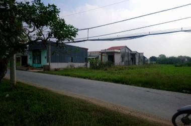 DT 1720m2 đất thổ cư, mặt tiền đường Tân Liễu, Hưng Long, huyện Bình Chánh