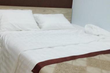 Chính chủ bán CH Mường Thanh 1 PN tầng 29 nội thất vip, giá chỉ 1,9 tỷ