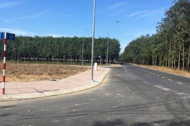 Thanh lý gấp 10 lô đất đường DDT747 xã Hội Nghĩa Nam Tân Uyên gần cây xăng Kim Hằng