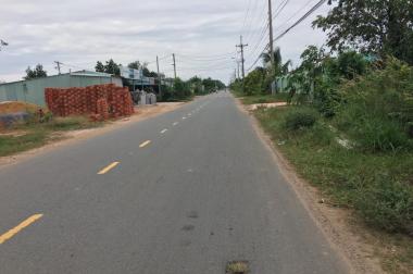 Đất chính chủ ngay mặt tiền đường Cây Trôm Mỹ Khánh – Tỉnh Lộ 7 xã Thái Mỹ SHR 