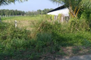 Đất chính chủ ngay mặt tiền đường Cây Trôm Mỹ Khánh – Tỉnh Lộ 7 xã Thái Mỹ SHR 