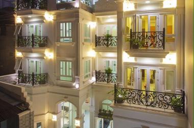 Nice Villa cho thuê CHDV full nội thất 128 PVH, Tân Bình