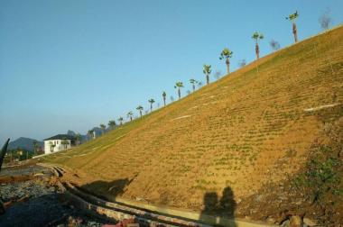 Chỉ với 2,8tr/m2, nhận đất sang tên sổ đỏ siêu dự án Eco Valley resort với những nền đẹp nhất. LH 0866035483 
