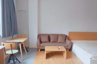 Căn hộ cao cấp full nội thất cho thuê gần Lotte quận 7