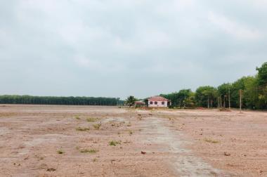 Đất công Bình Phước giá rẻ chỉ 600tr/nền , gần khu công nghiệp BECAMEX, mặt tiền đường Liên Tỉnh