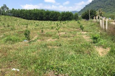 Cần bán nhanh 7ha đất vườn đẹp (có 500m2 thổ cư) ở xã Khánh Trung, huyện Khánh Vĩnh.
