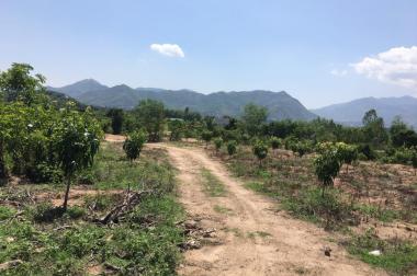 Bán đất vườn xã Suối Cát, Cam Lâm. Diện tích 10544m2