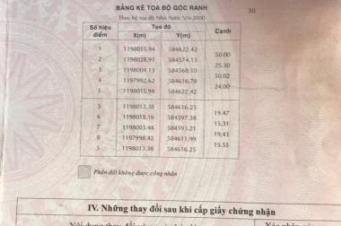 Bán lô góc 1200m2 đất xưởng ngay đường Thanh Niên Bình Chánh, SHR, sang tên công chứng