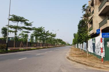 Bán nhà xây thô đẹp   mặt phố kinh doanh  - Khu đô thị Hub Trầu Cau , TP Bắc Ninh