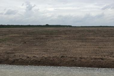 Bán 1 mẫu đất gần Vincom chơn Thành ,sổ hồng riêng