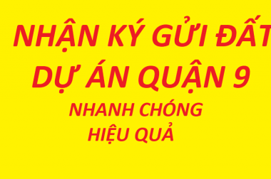 Một số nền đất giá tốt cần bán tại dự án Phú Nhuận đường Đỗ Xuân Hợp