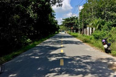 Đất đường An Nhơn Tây – Nguyễn Thị Rành giá chỉ 4tr/m2